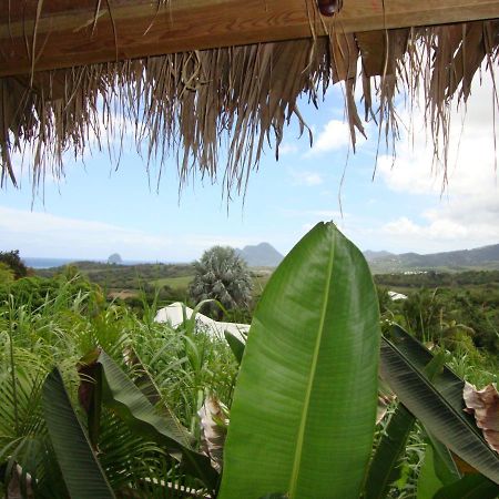 Eden Paradise Spa Ecolodge Sainte-Luce Exterior foto