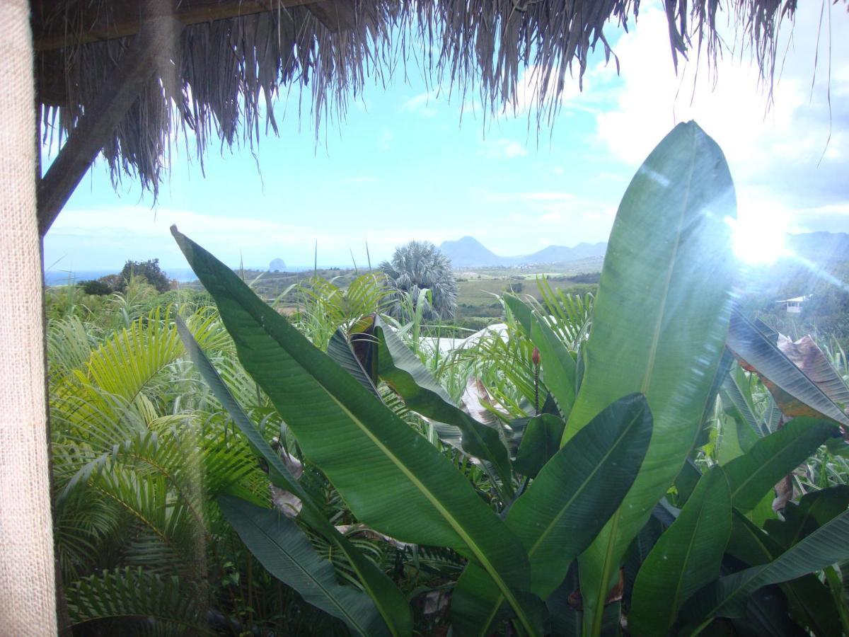 Eden Paradise Spa Ecolodge Sainte-Luce Exterior foto